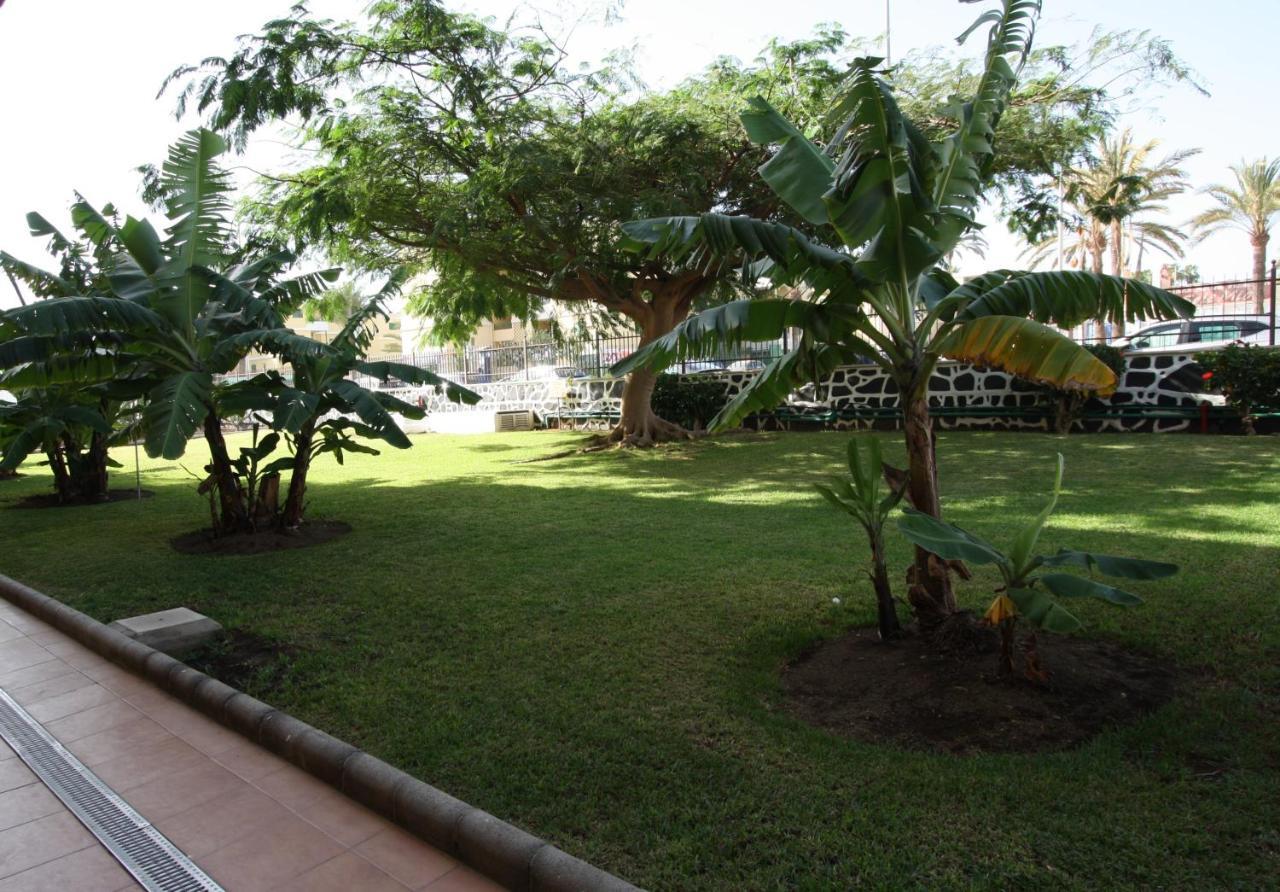 Fantastic Apartment With Sea Views Playa del Ingles  Luaran gambar